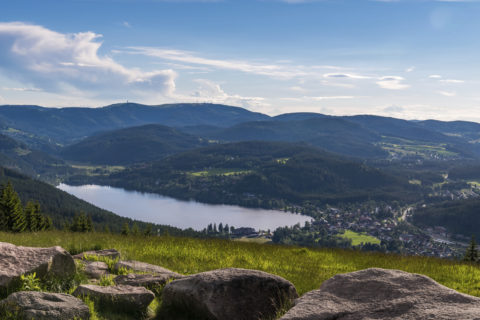 Blick Vom Hochfirst Zum Titisee High Res 12667
