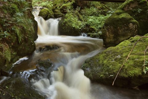 Ravennaschlucht High Res 2974