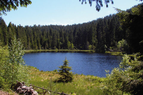 E5B3950B5C412Bb3708Dd62Cac6156D5